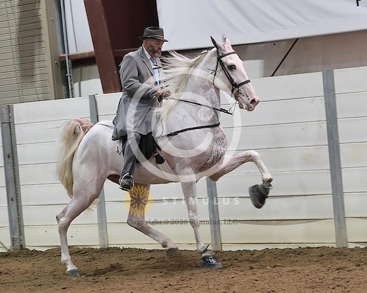 39. 4 Year Old Walking Amateur:Class-390004s0003IMG1029.jpg