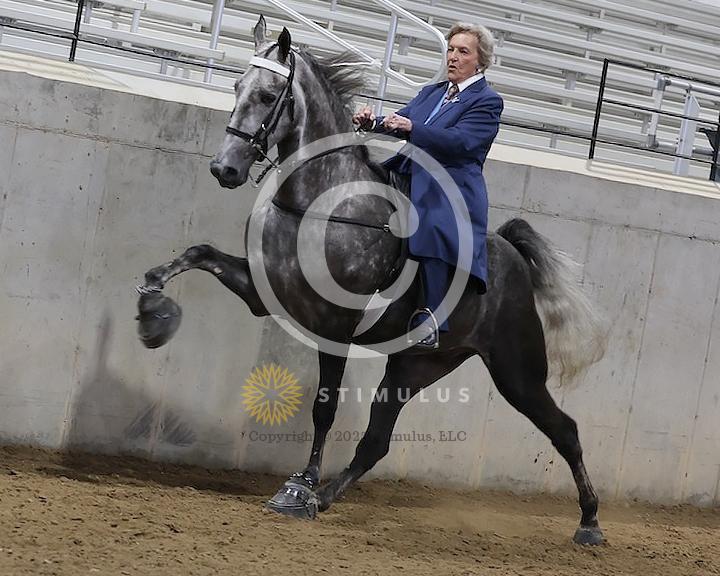 39. 4 Year Old Walking Amateur:Class-390004s0005IMG1012.jpg