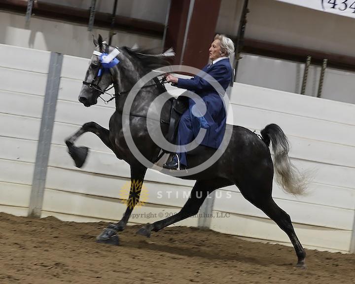 39. 4 Year Old Walking Amateur:Class-390004s0007IMG1063.jpg