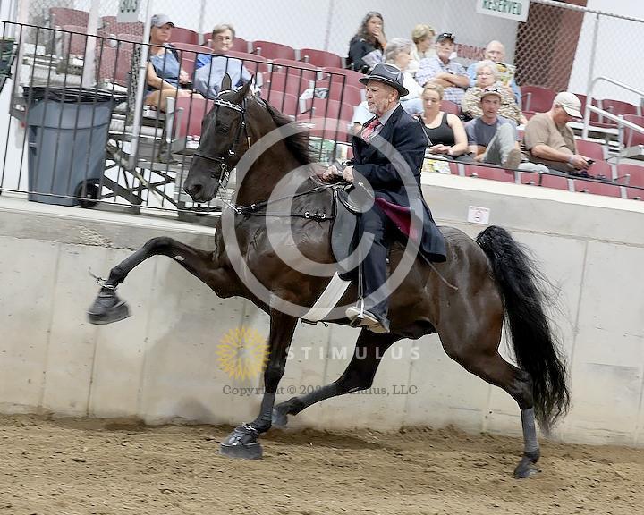 40. Amateur Owned and Trained Walking:Class-400003s0000IMG1090.jpg