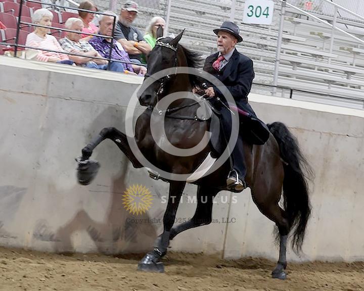 40. Amateur Owned and Trained Walking