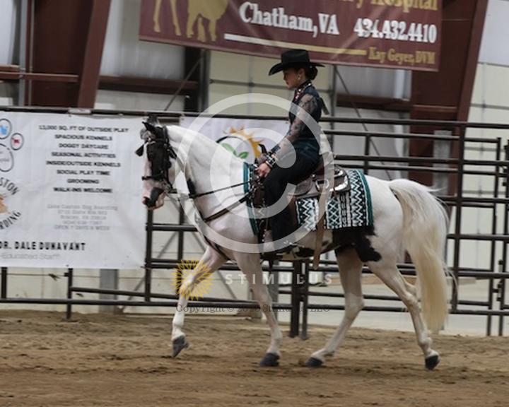 50. Youth SSH Trail Pleasure 17 and Under:Class-500000s0002IMG1293.jpg