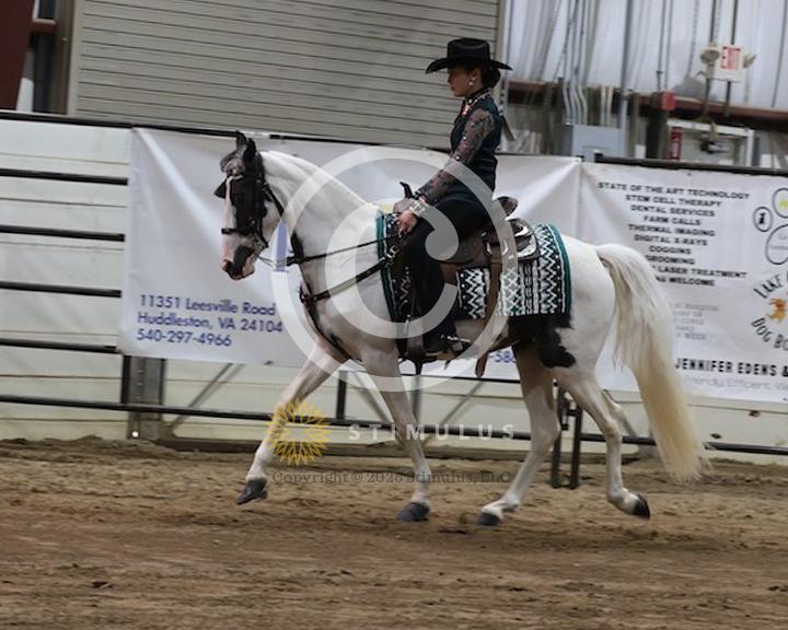 50. Youth SSH Trail Pleasure 17 and Under