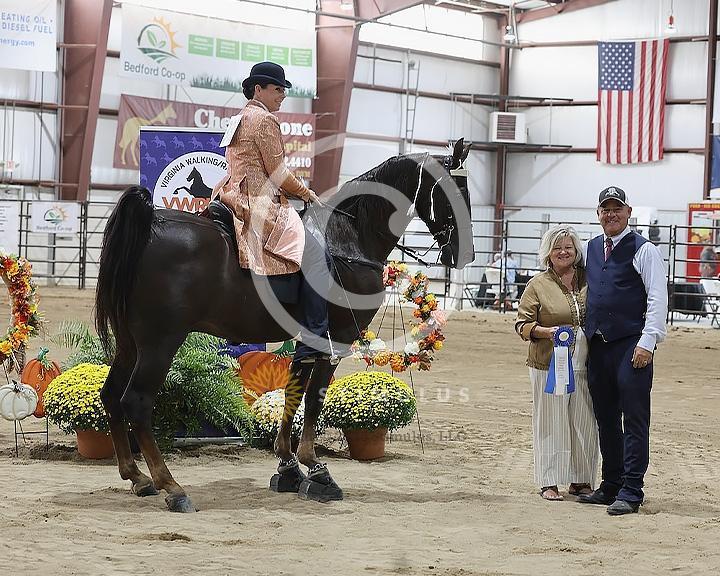 51. Walking Mare and Gelding Open Specialty:Class-510008s0005IMG1374.jpg