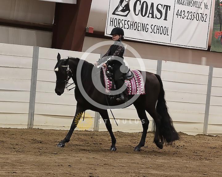 53. Pee Wee Pleasure 11 and Under:Class-530008s0004IMG1481.jpg