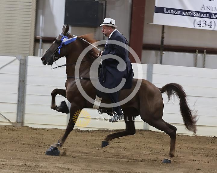 54. Show Pleasure Walking Open