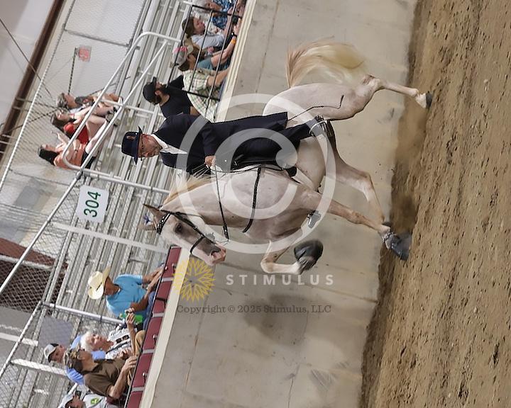 54. Show Pleasure Walking Open:Class-540008s0006IMG1560.jpg