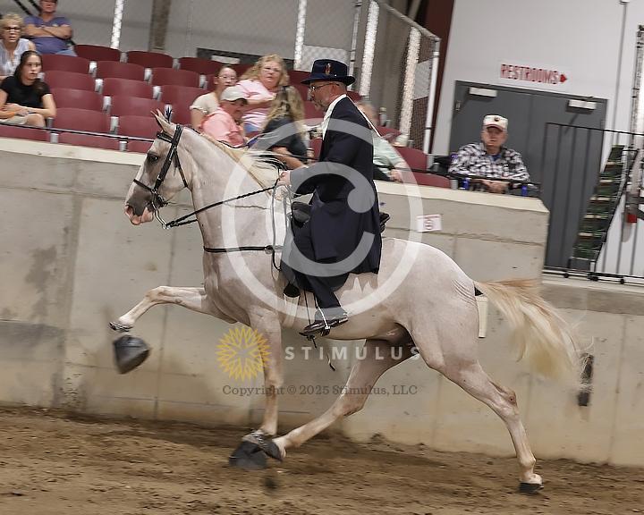 54. Show Pleasure Walking Open:Class-540008s0011IMG1521.jpg