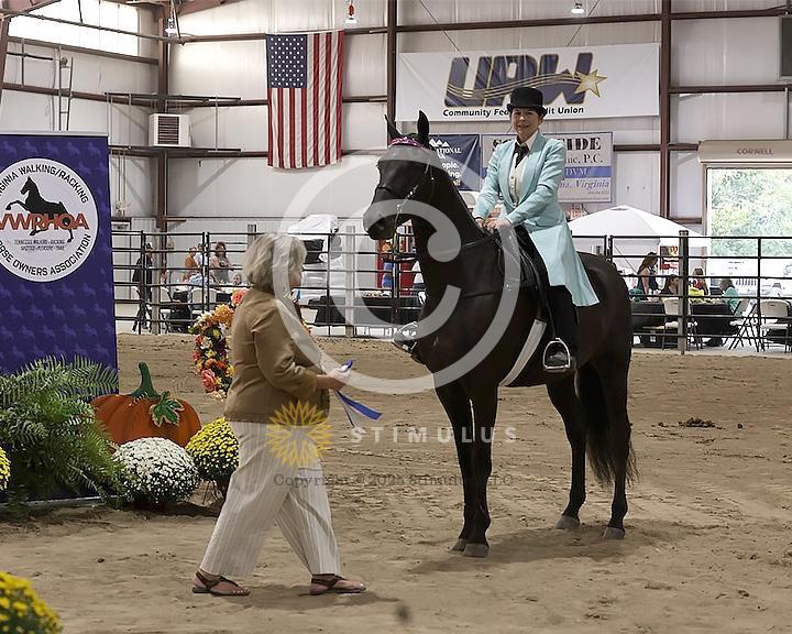 55. Style Racking Flat Shod:Class-550008s0002IMG1663.jpg