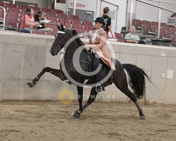 60. Park Performance Open