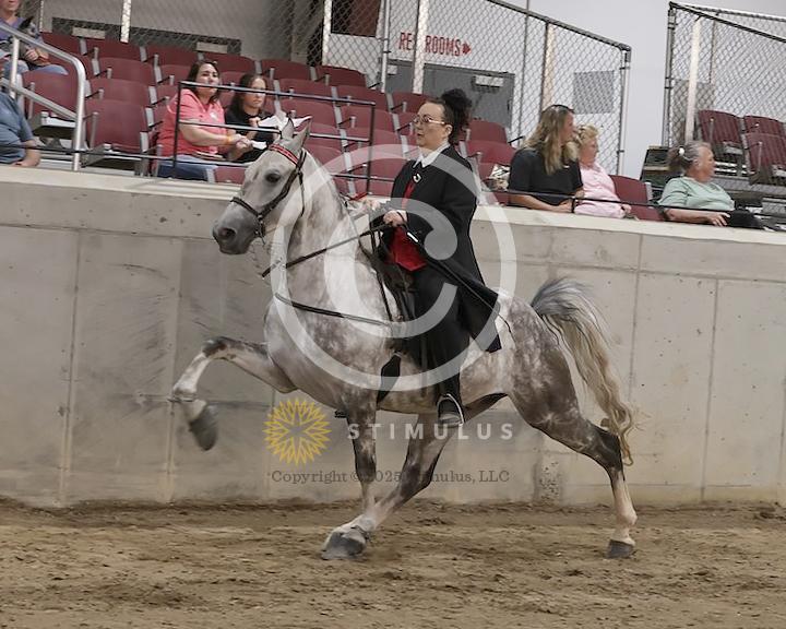 60. Park Performance Open:Class-600005s0001IMG1857.jpg