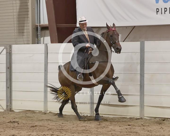 60. Park Performance Open:Class-600005s0007IMG1925.jpg