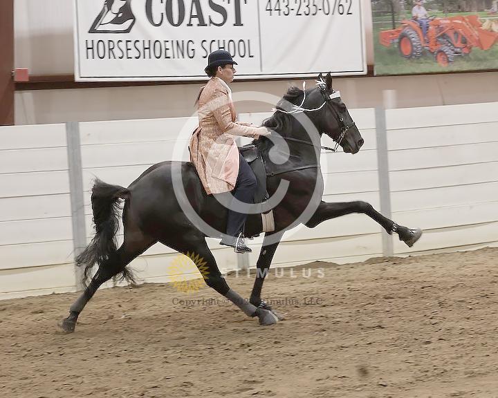 60. Park Performance Open:Class-600005s0008IMG1951.jpg