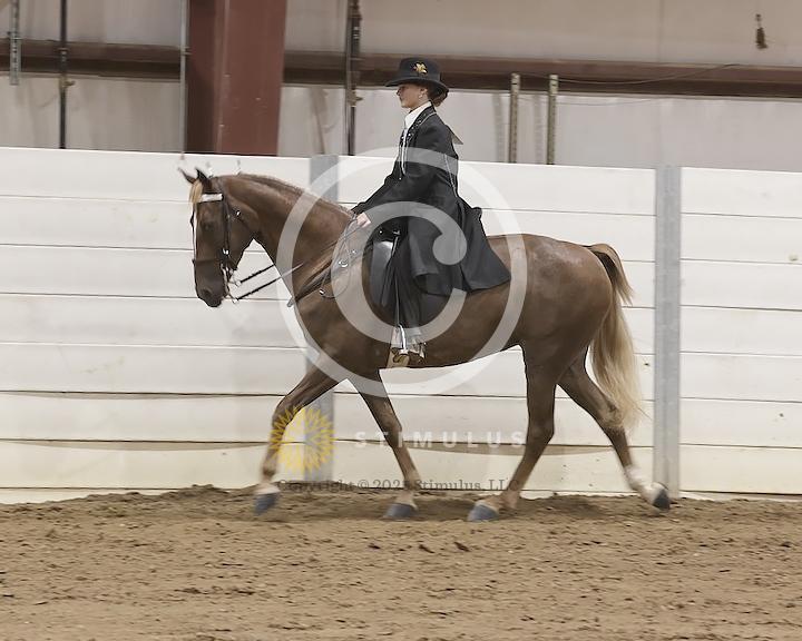 62. Youth Trail Pleasure Walking 17 and Under:Class-620003s0000IMG2061.jpg