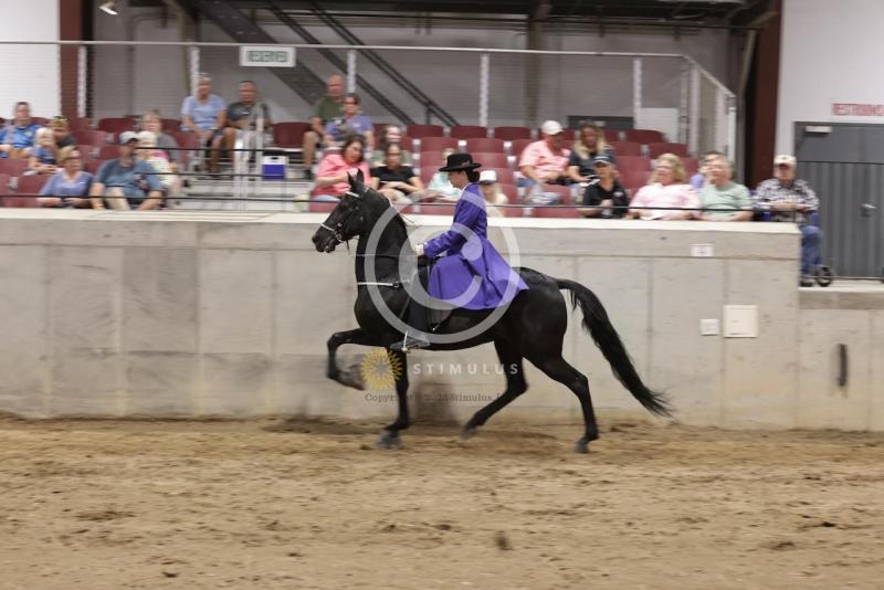 64. Style Racking:IMG2136.jpeg