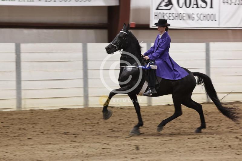 64. Style Racking:IMG2178.jpeg