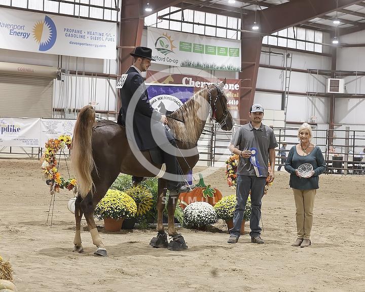 65. 3 Year Old Walking Open:Class-650000s0003IMG2250.jpg