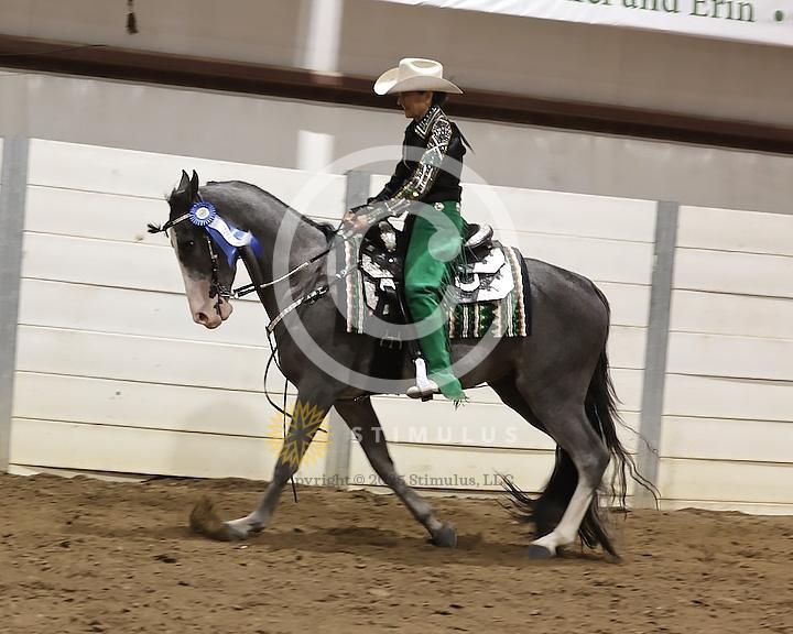 66. Country Pleasure Walking E/W