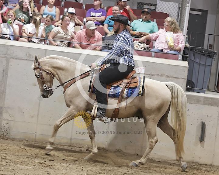 68. Ambling Pleasure:Class-680000s0000IMG2416.jpg