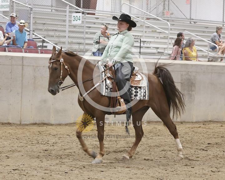 68. Ambling Pleasure:Class-680000s0003IMG2430.jpg