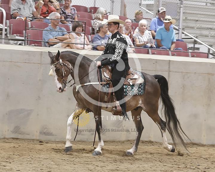 68. Ambling Pleasure:Class-680000s0004IMG2440.jpg