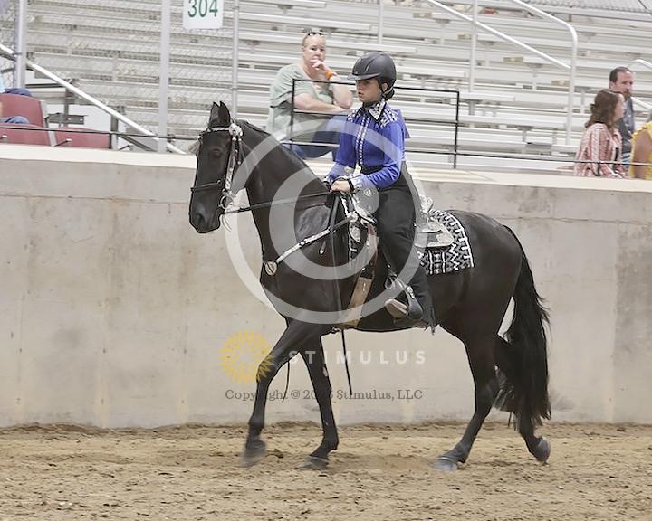 68. Ambling Pleasure:Class-680000s0005IMG2442.jpg