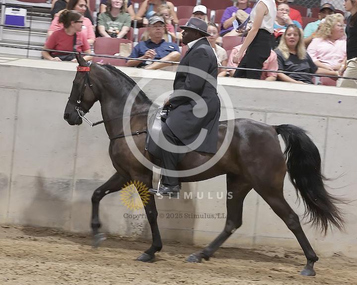 69. Lite Shod Walking E/W Open