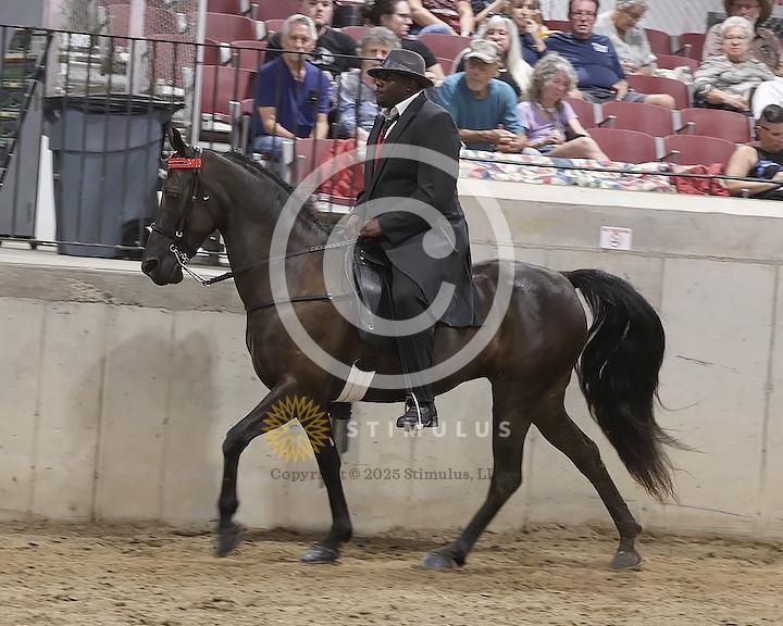 69. Lite Shod Walking E/W Open:Class-690013s0001IMG2480.jpg