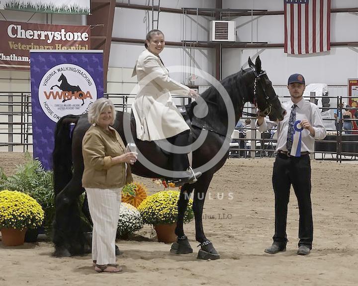 70. Amateur Walking Horse Specialty