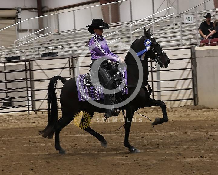 72. Country Pleasure Racking E/W:Class-720008s0008IMG2608.jpg