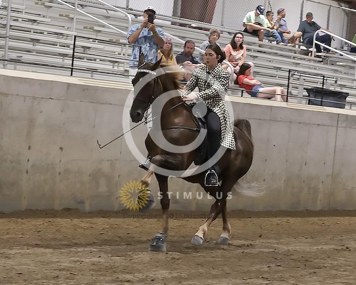 73. VHRHOA Members Only Specialty:Class-730000s0000IMG2621.jpg