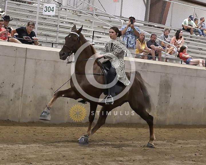 73. VHRHOA Members Only Specialty:Class-730000s0001IMG2624.jpg