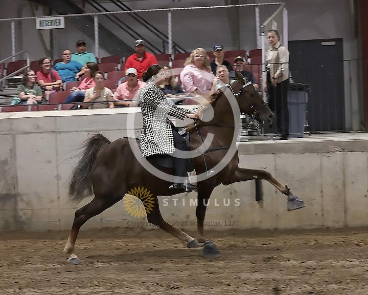 73. VHRHOA Members Only Specialty:Class-730000s0002IMG2634.jpg