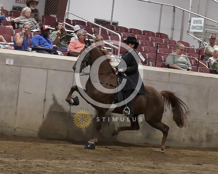 74. Ladies Racking Specialty Action Device:Class-740000s0003IMG2693.jpg