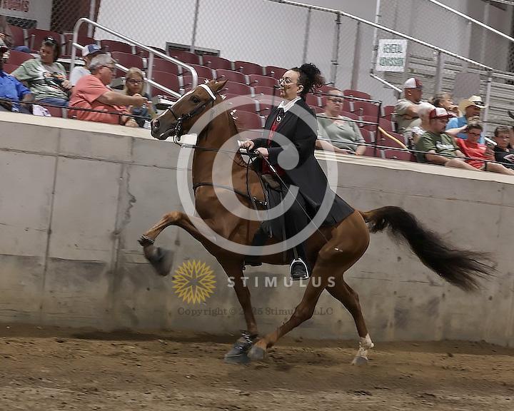 74. Ladies Racking Specialty Action Device:Class-740000s0004IMG2704.jpg