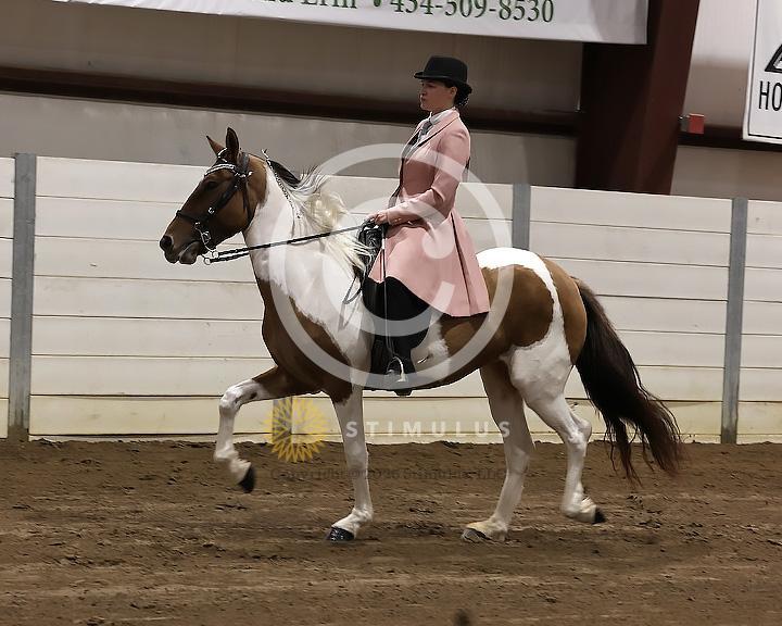 75. SSH Open Shod:Class-750000s0001IMG2766.jpg