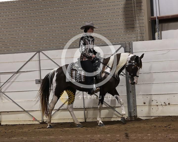 75. SSH Open Shod:Class-750000s0006IMG2781.jpg