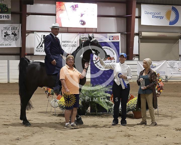 76. 15.2 and Under Walking Open:Class-760000s0008IMG2900.jpg