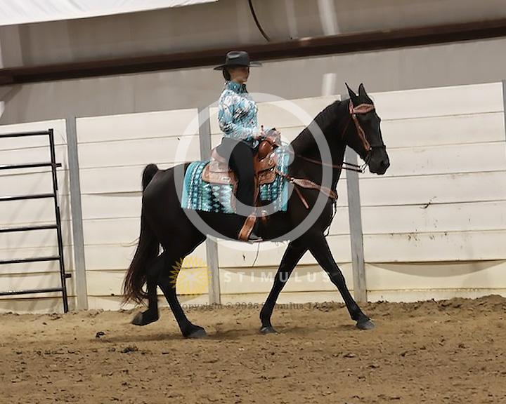 88. Trail Pleasure Racking Stake:Class-880000s0000IMG3675.jpg