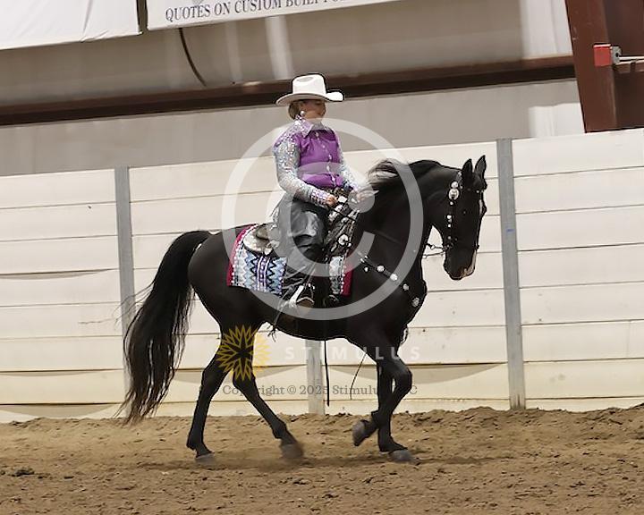 88. Trail Pleasure Racking Stake:Class-880000s0002IMG3680.jpg