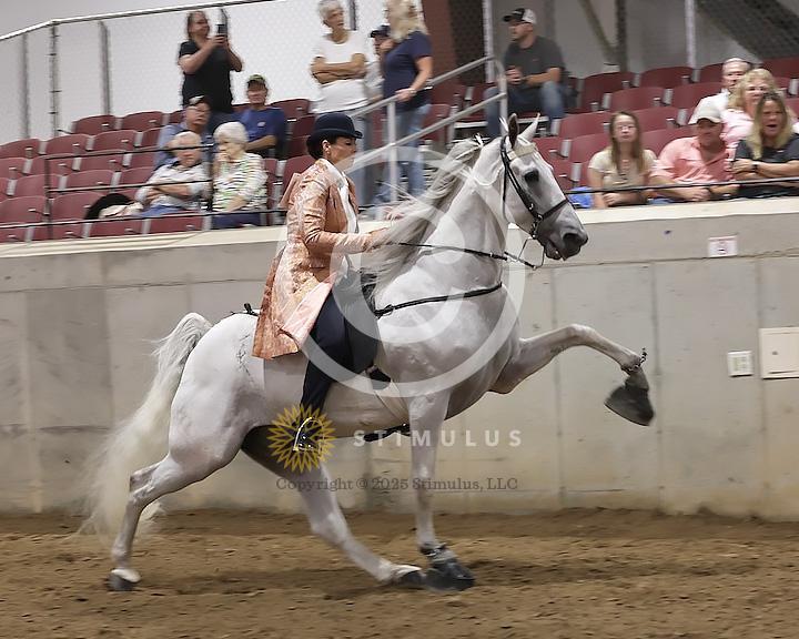 89. Walking Horse Stake Specialty:Class-890000s0014IMG3798.jpg