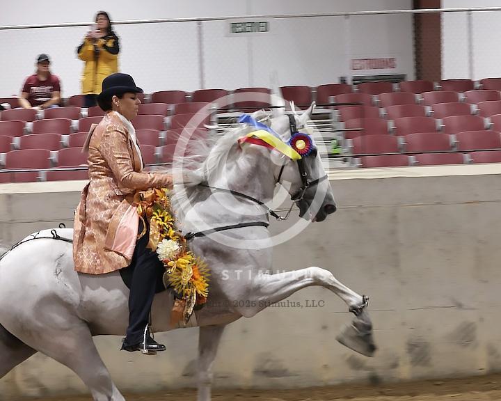 89. Walking Horse Stake Specialty