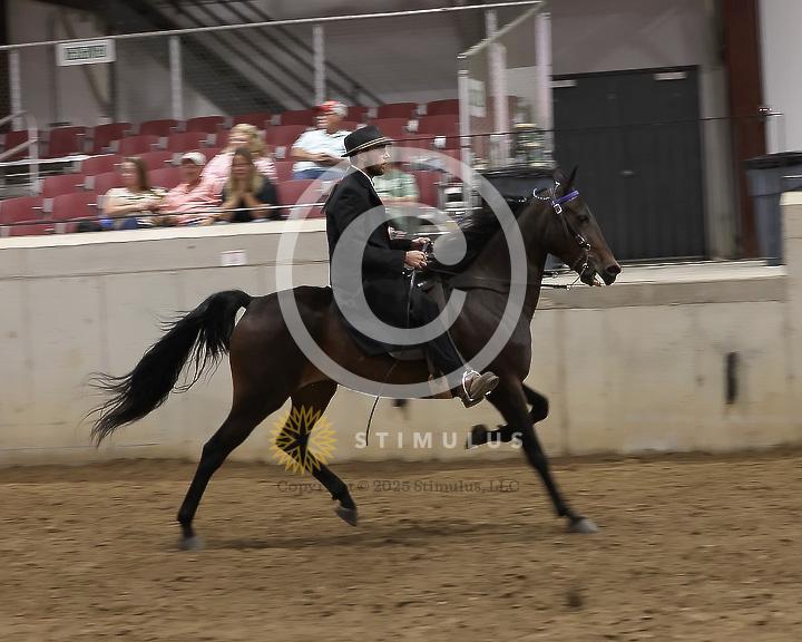 86. Speed Racking Stake:Class-860001s0003IMG3586.jpg