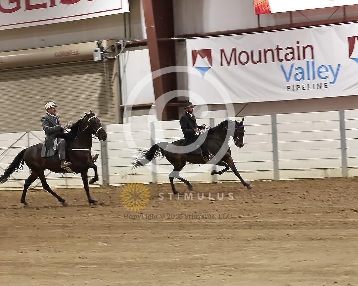 86. Speed Racking Stake:Class-860001s0004IMG3594.jpg