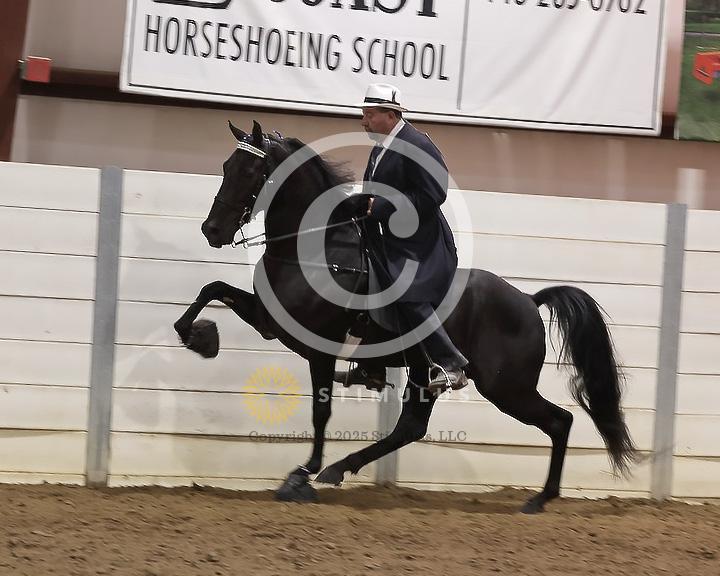 87. Racking Horse Specialty Action Device:Class-870001s0000IMG3633.jpg