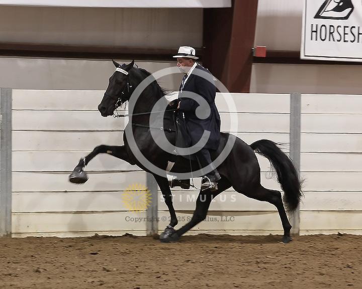 87. Racking Horse Specialty Action Device:Class-870001s0001IMG3637.jpg