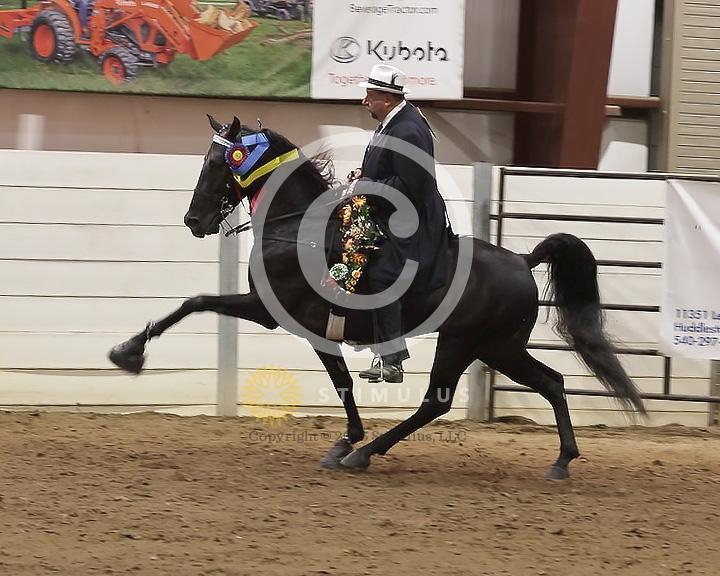 87. Racking Horse Specialty Action Device:Class-870001s0005IMG3659.jpg