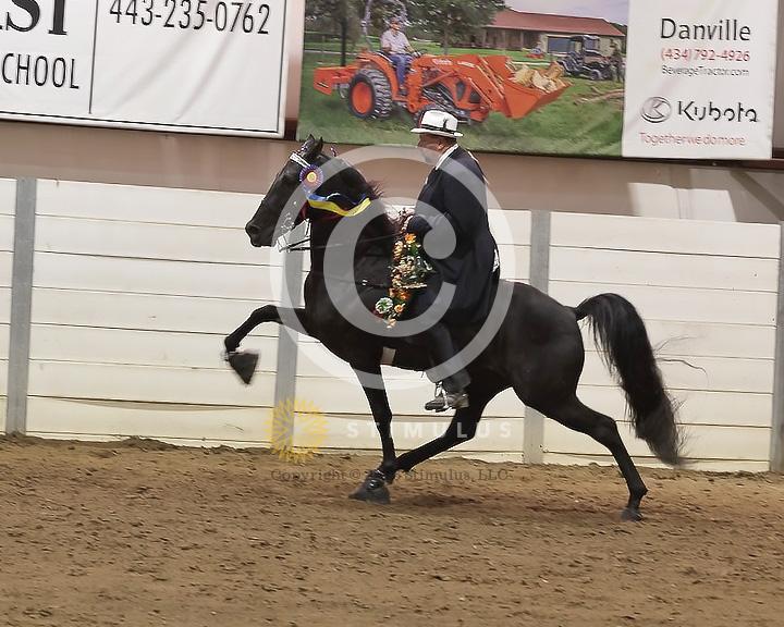 87. Racking Horse Specialty Action Device