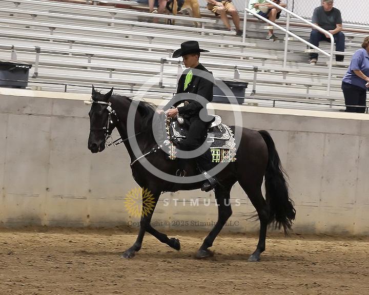 85. Youth Pleasure Stake:Class-850004s0000IMG3419.jpg