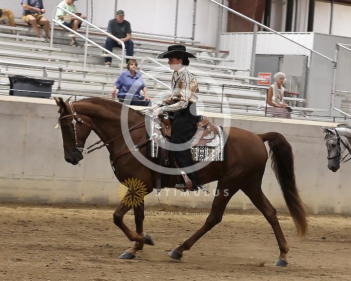 85. Youth Pleasure Stake:Class-850004s0001IMG3420.jpg